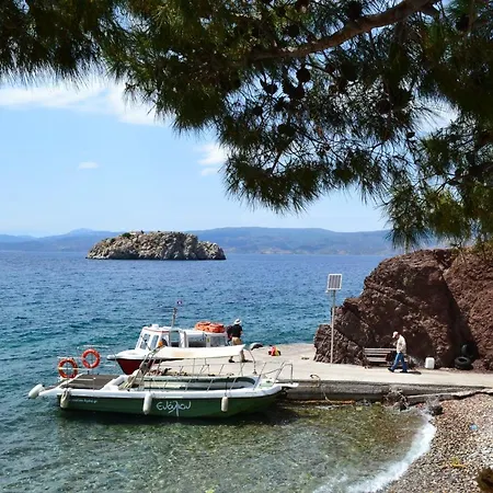 Vlichos * İdra